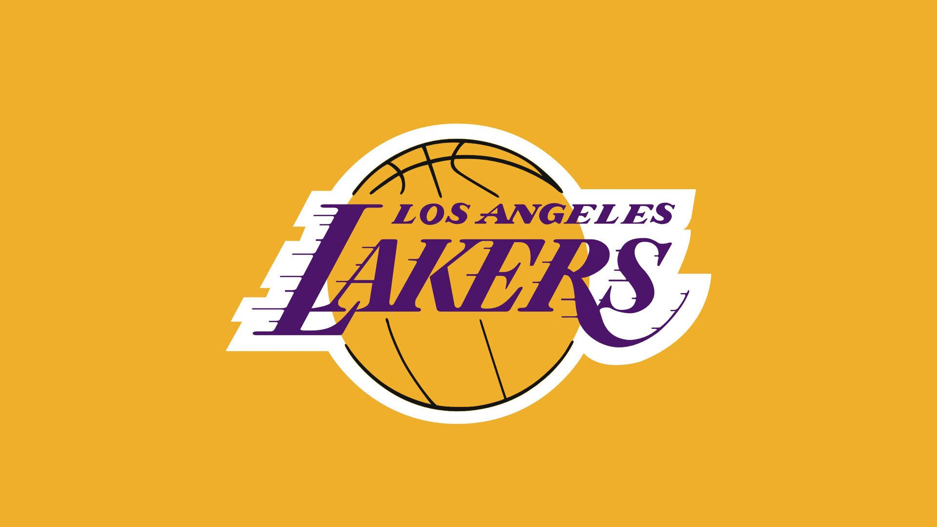 NBA最残暴暴扣,nba最暴力的扣将